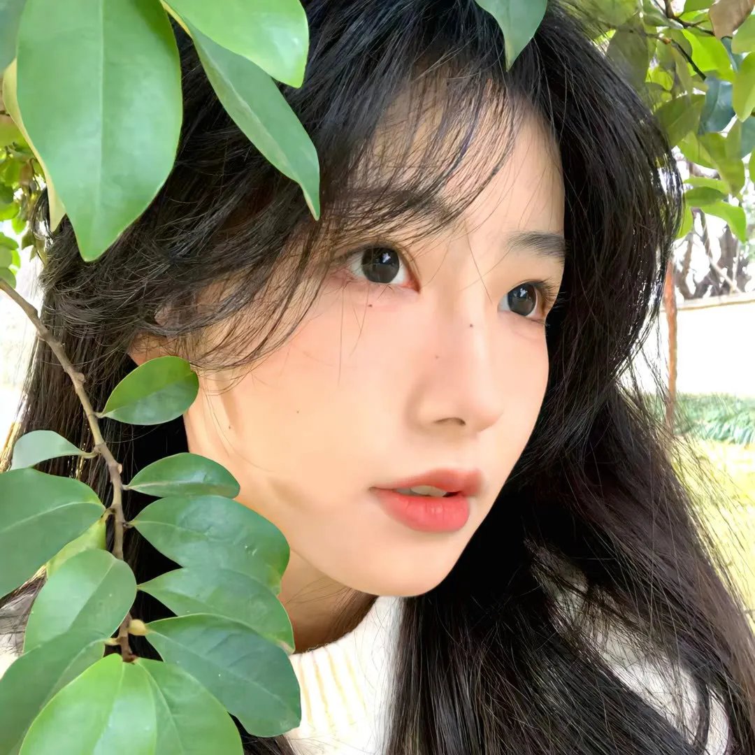 尘埃的女儿